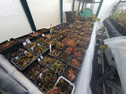 20201101-171424.jpg