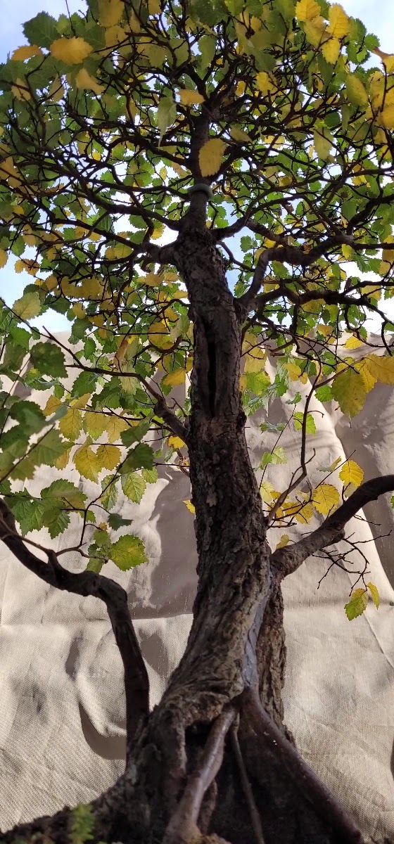 20201108_112814.jpg