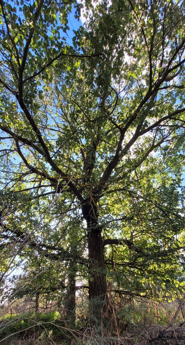 20201108_183556.jpg