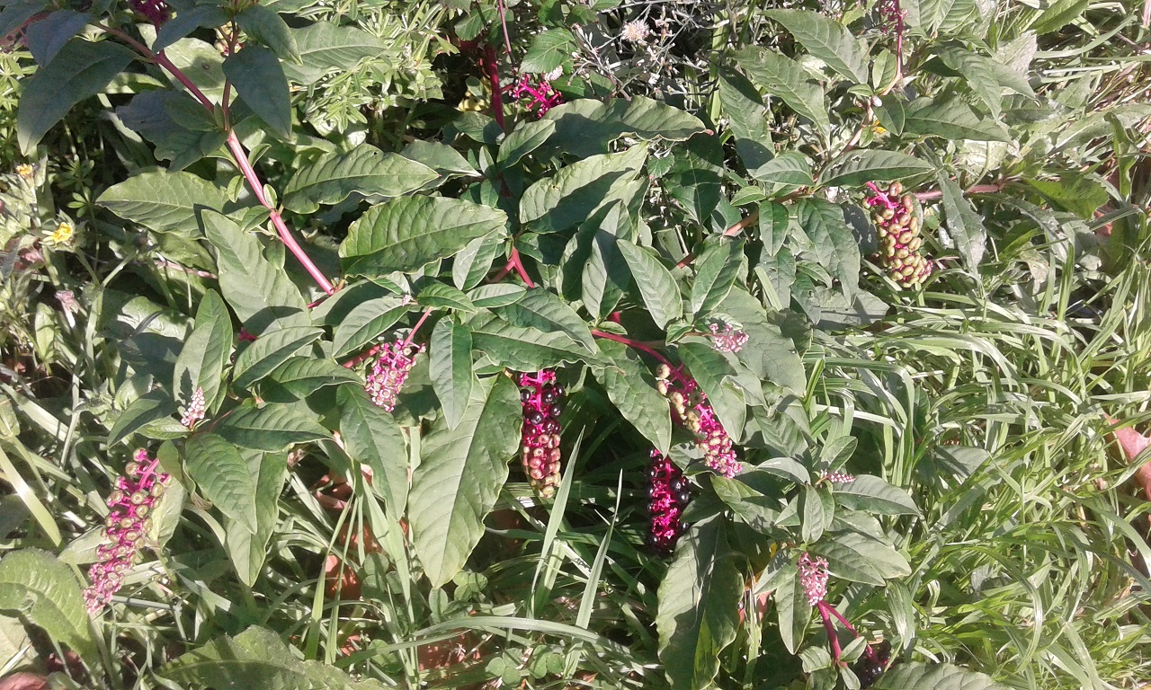 20201110-100101.jpg