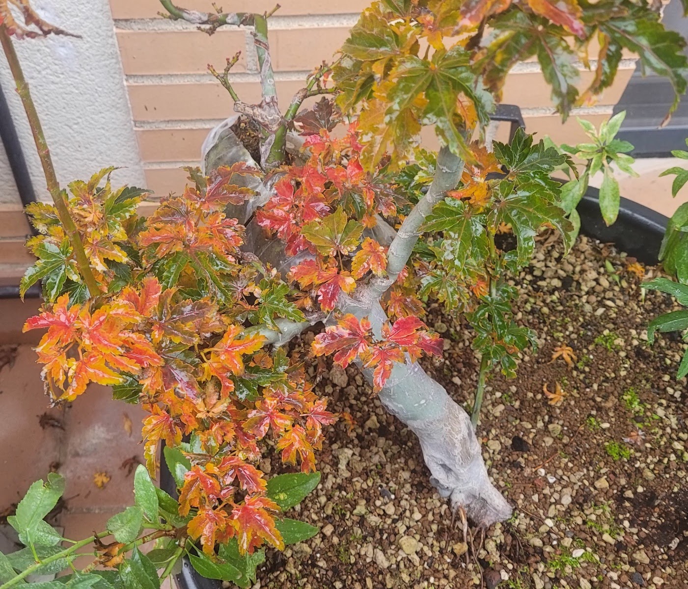 20201117_092234.jpg