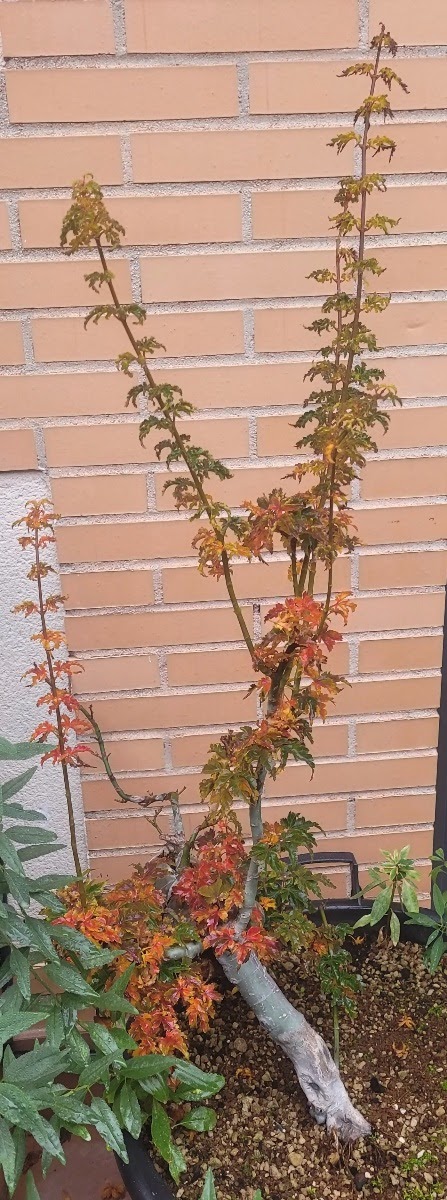 20201117_092317.jpg