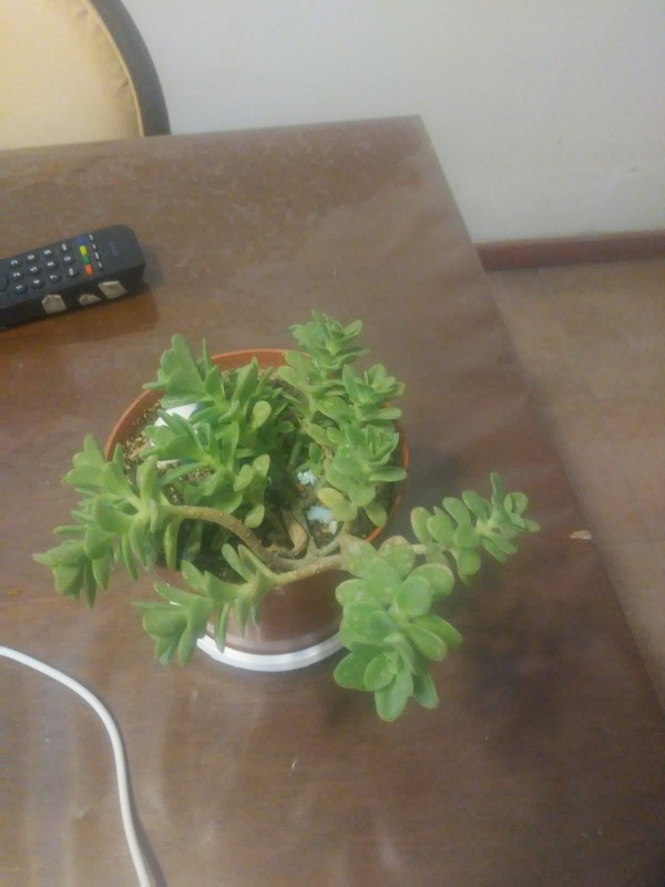20201120-205319.jpg