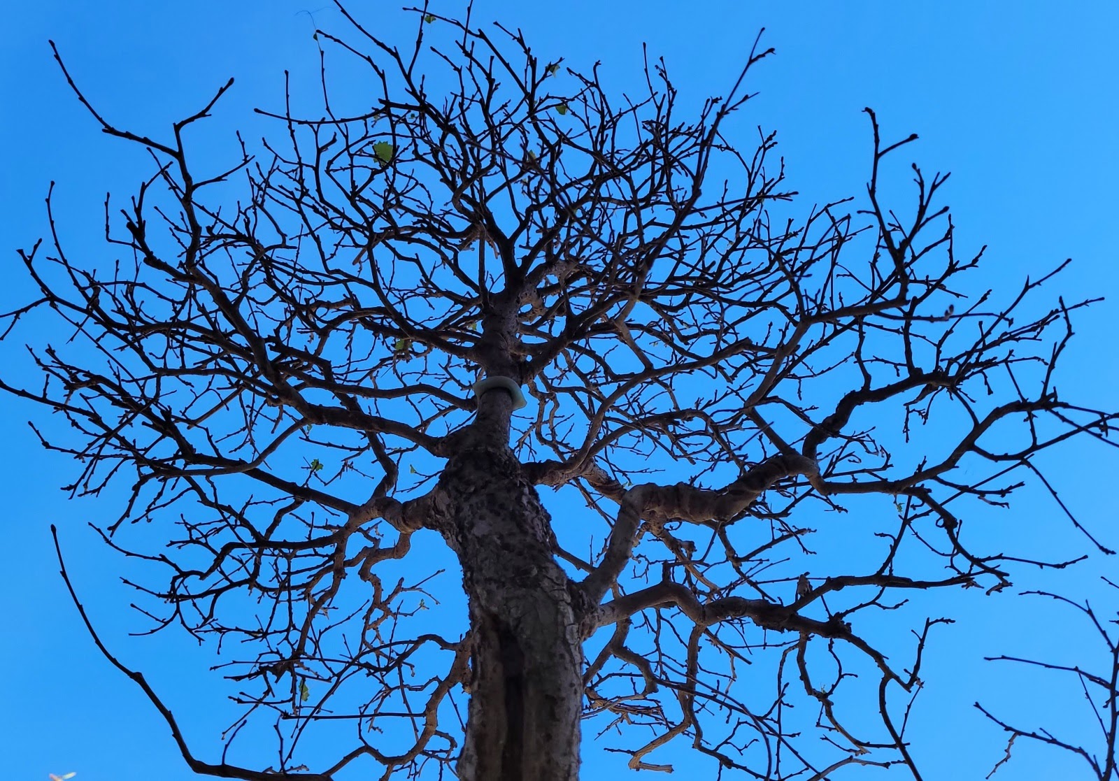 20201121_100553.jpg