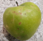 20201129-203147.jpg