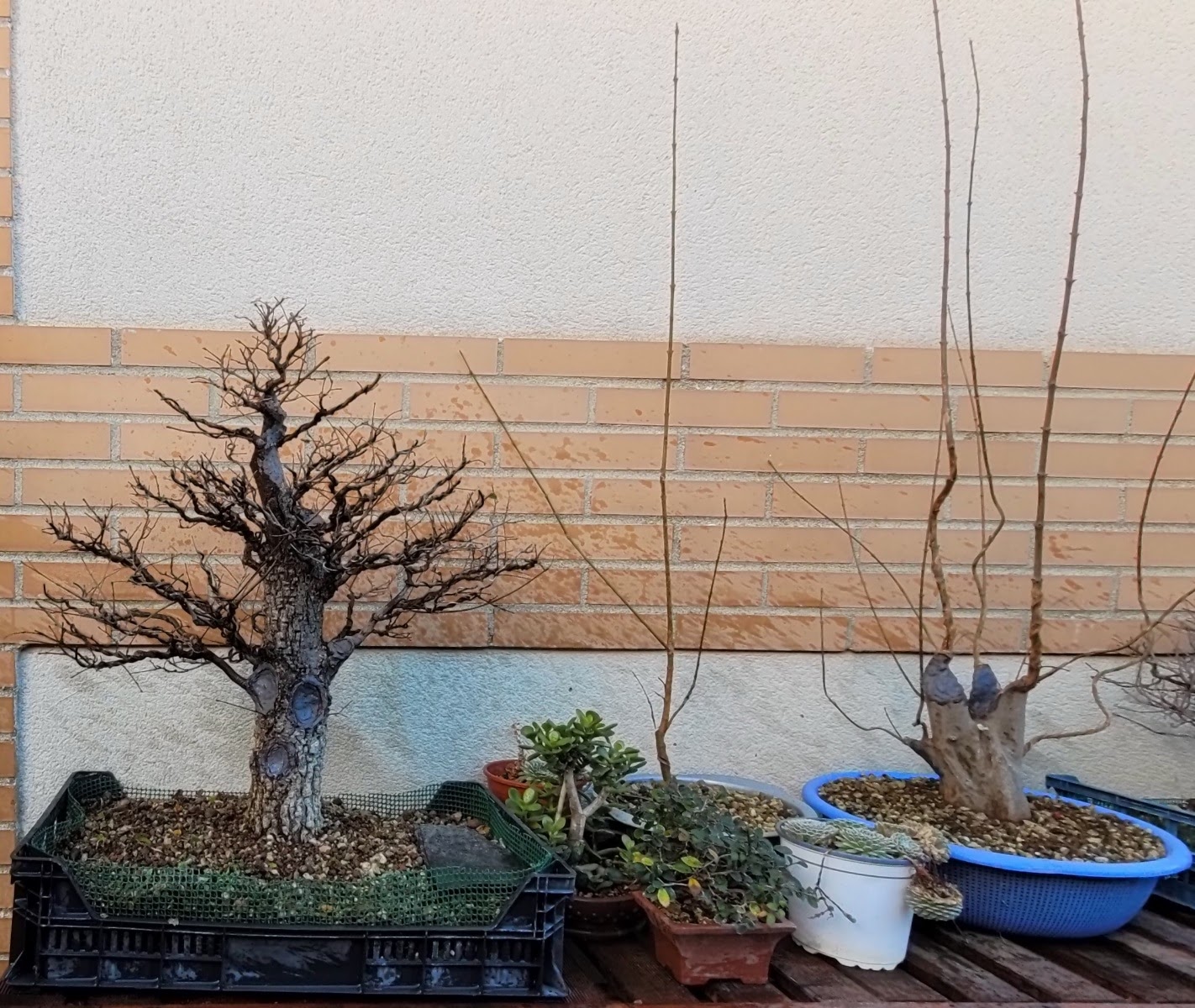 20201129_153447.jpg