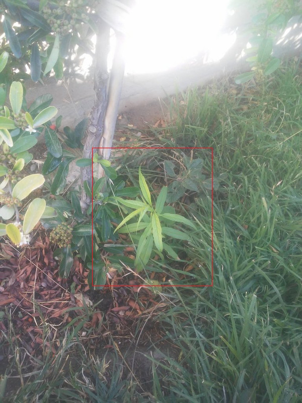 20201204-090220paint.jpg
