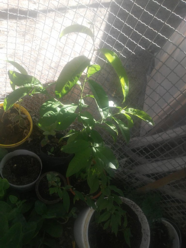 20201204-090904.jpg