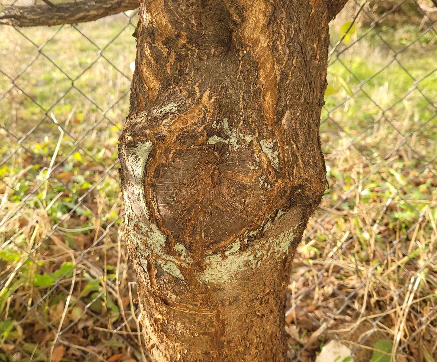 20201207_105233.jpg