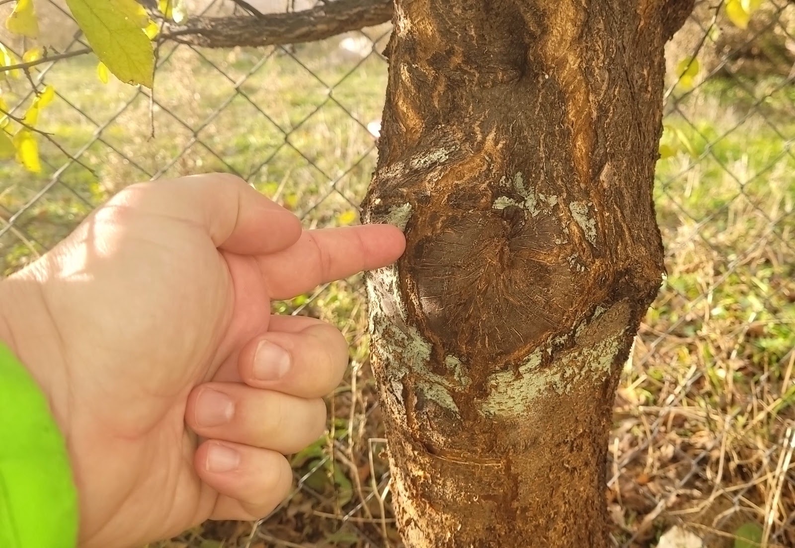 20201207_105247.jpg