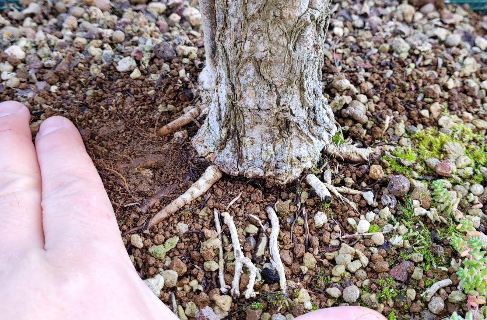 20201212_142801.jpg