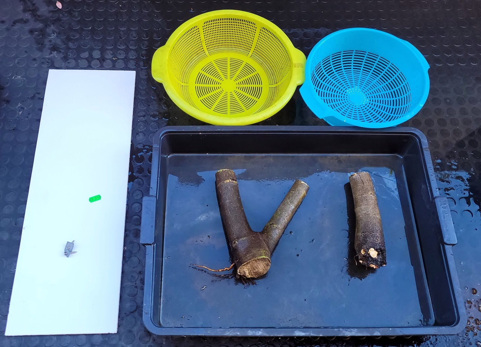 20201227_121801.jpg