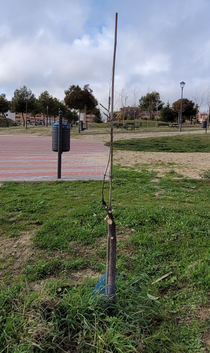 20210131_162344.jpg