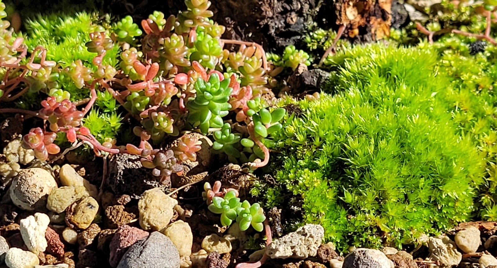 20210315_105444.jpg