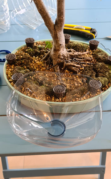 20210513.jpg