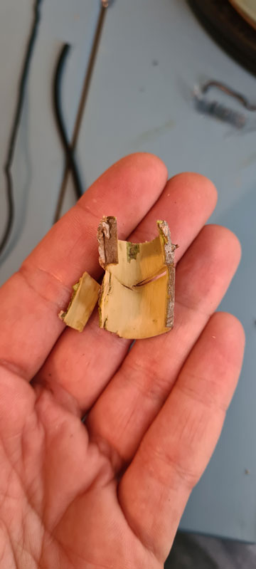 20210514.jpg