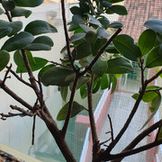 20210608-203124.jpg