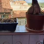 20210614-175700.jpg