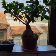 20210614-175842.jpg