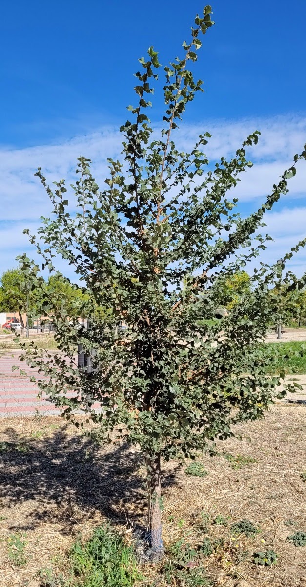20210807_103441.jpg
