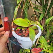 20210912-122708.jpg