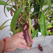 20211003-122012.jpg