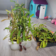 20211003-122019.jpg