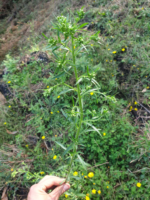 20211003-154514.jpg
