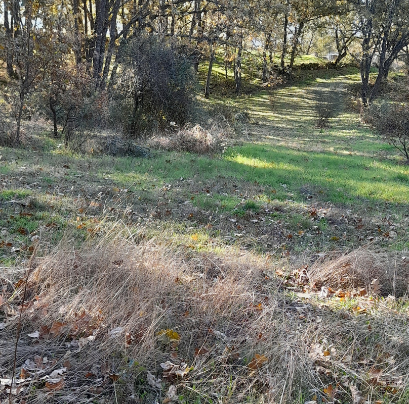 20211128-122503.jpg