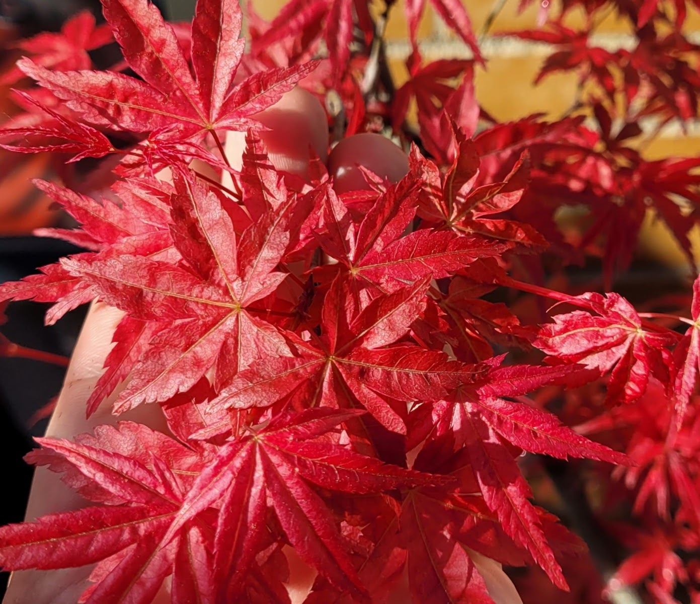 20220410_100355.jpg
