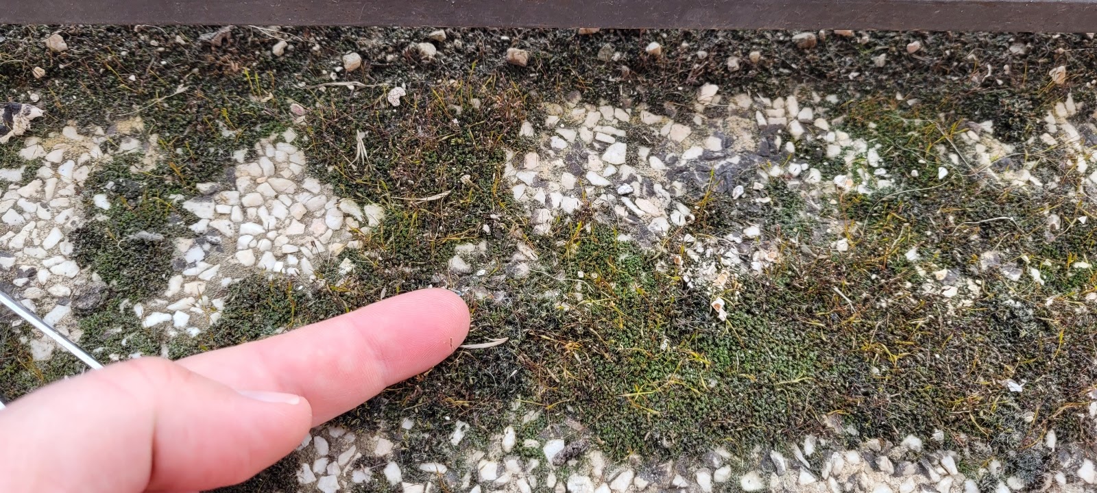 20220410_170229.jpg