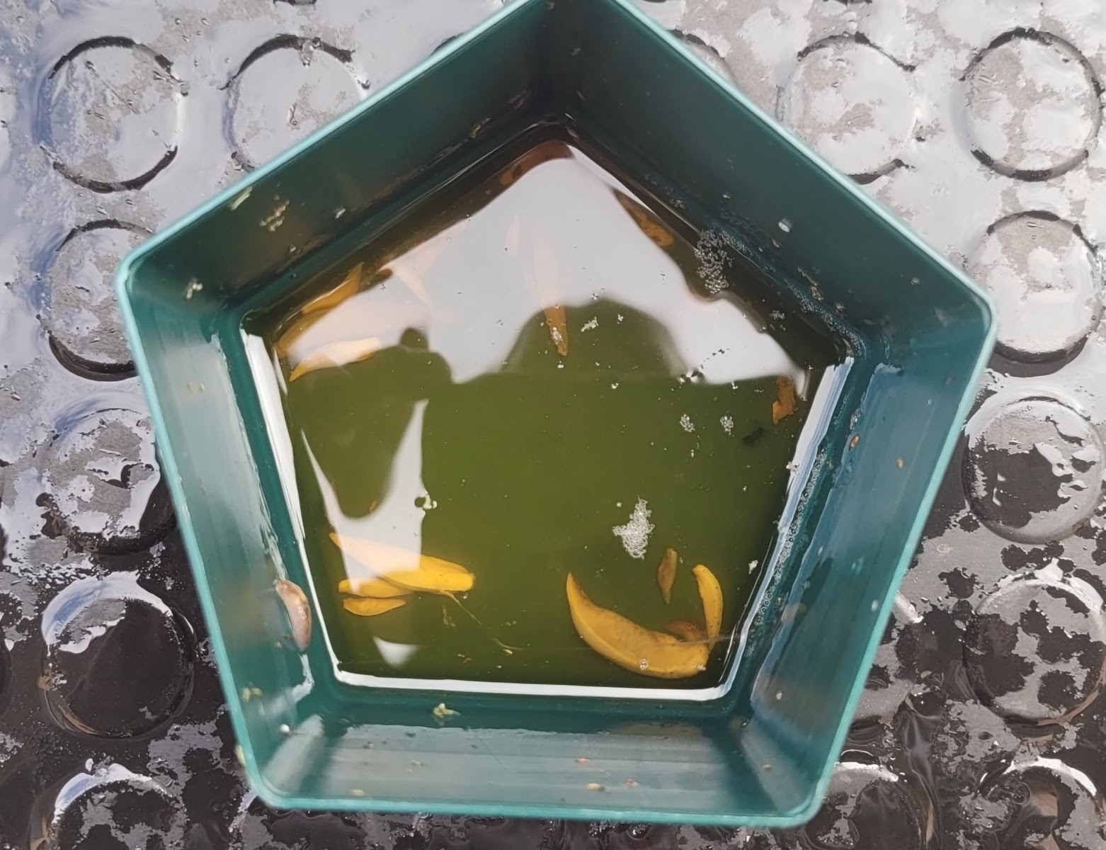 20220503_105315.jpg