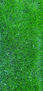 20220517-074051.jpg