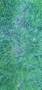 20220517-082442.jpg