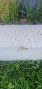 20220527-082200.jpg