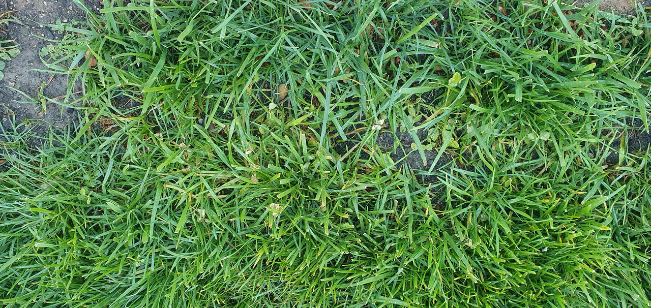 20220531-082155.jpg