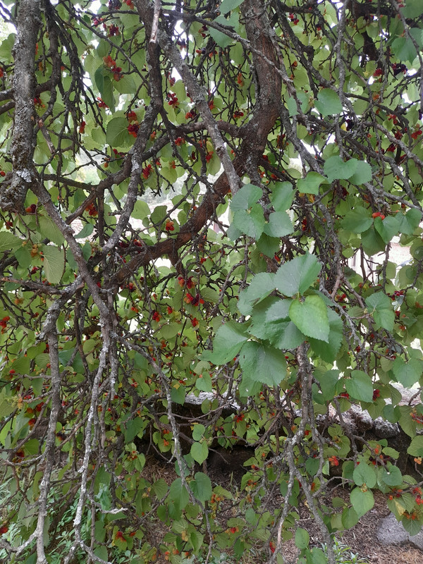 20220614-153105.jpg