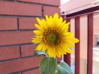 20220711.jpg