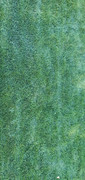 20220906-174002.jpg