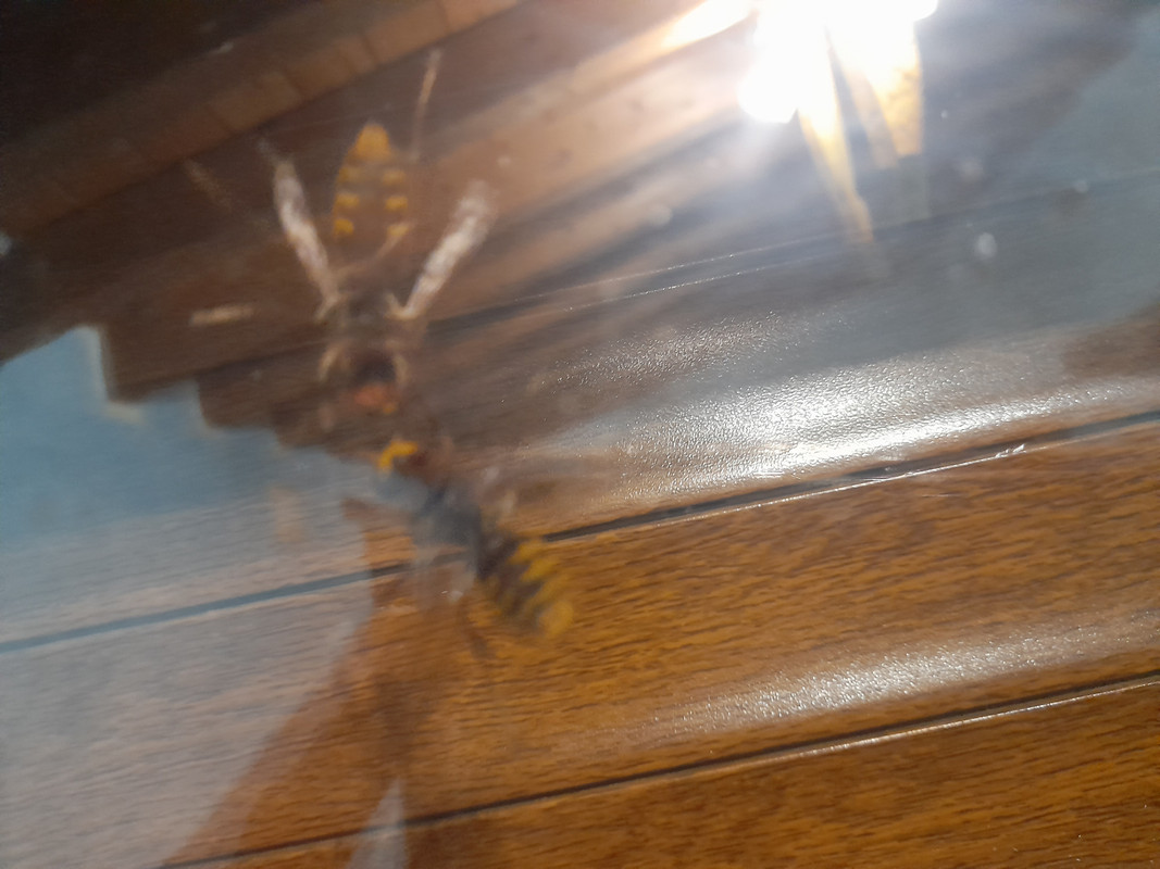 20220924-233448.jpg