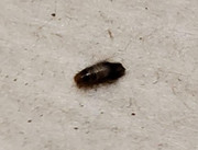 20220926-214456.jpg
