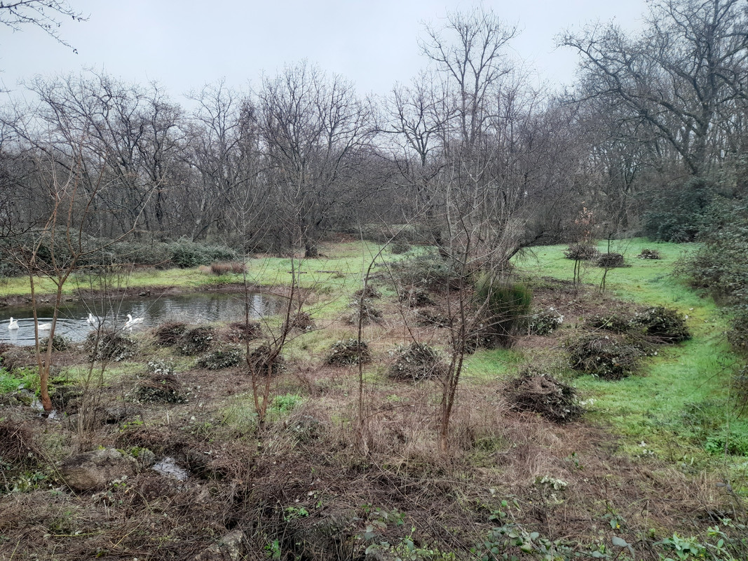20230113-111818-1.jpg