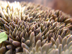 205564492_9b05f49afe_m.jpg