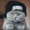 20k7qec.gif
