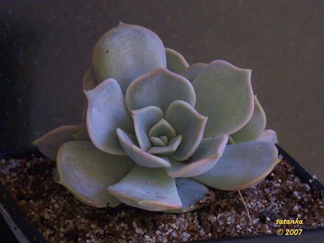 20P1000846.jpg