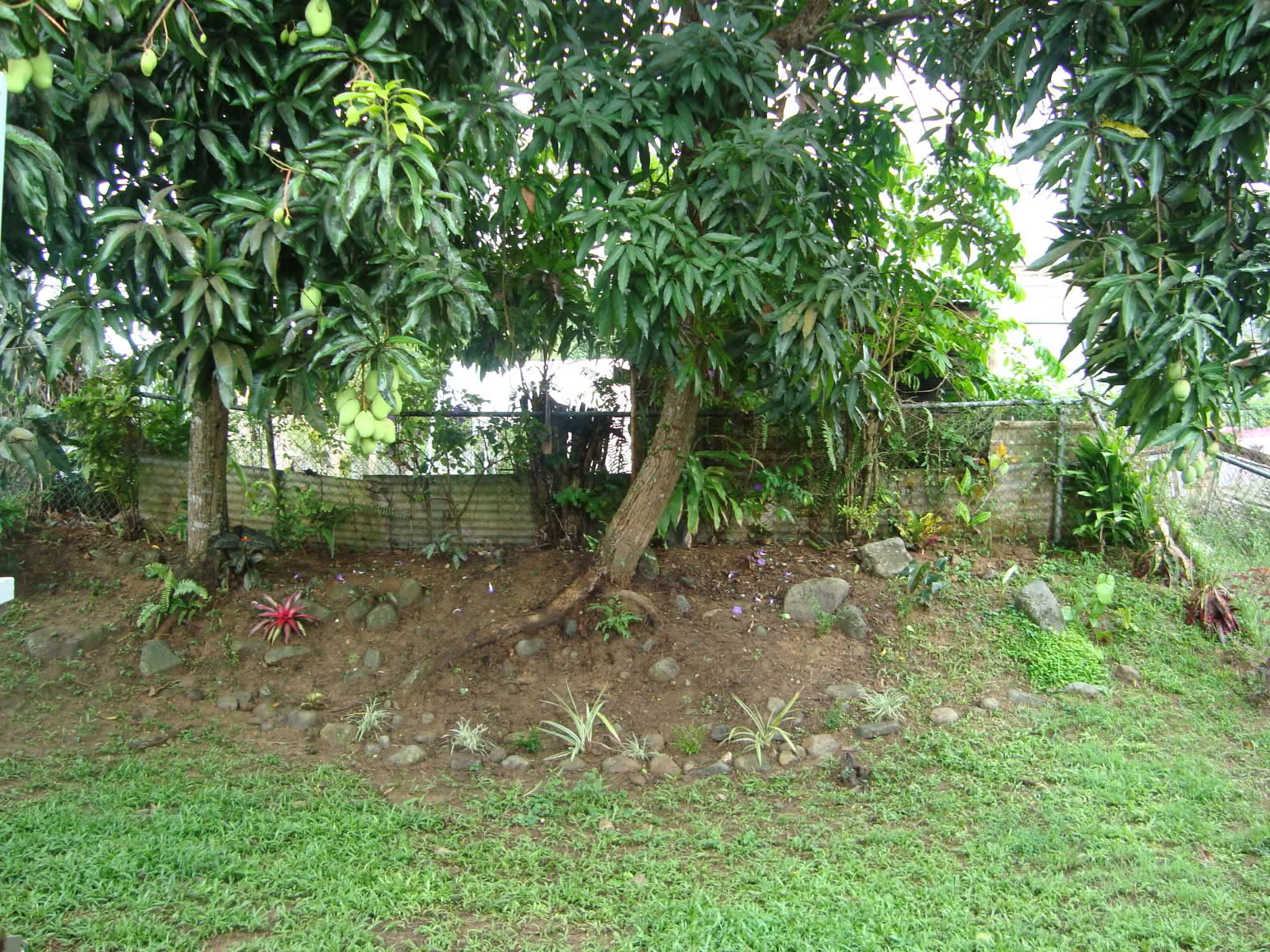 20r61eg.jpg