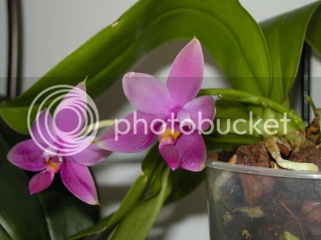 21-07-2014026_zps4b405716.jpg