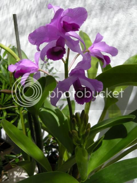 21-09-2014022_zps31f268be.jpg