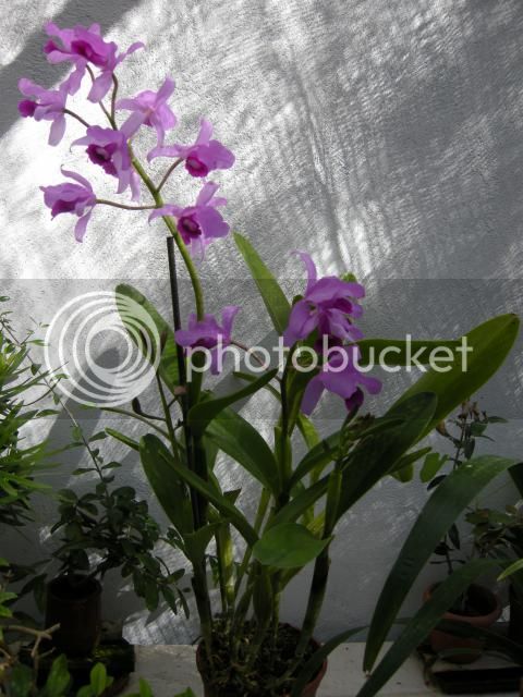 21-09-2014027_zpsebd62a83.jpg