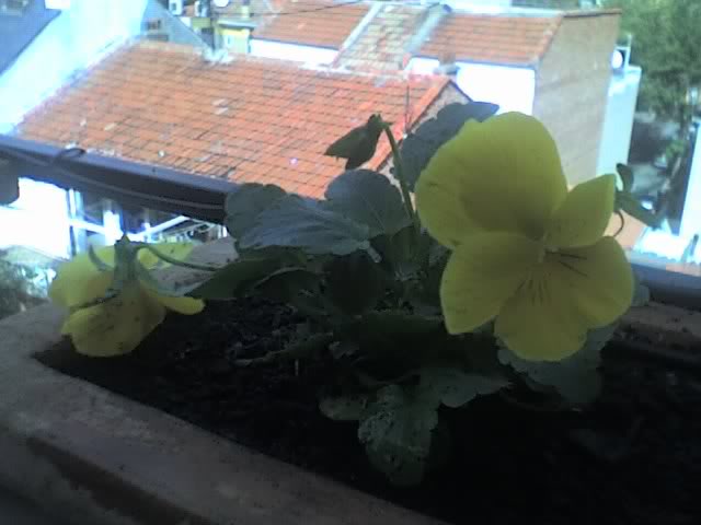 21-10-06_1415.jpg